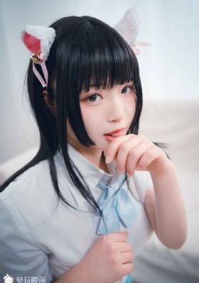 警匪片