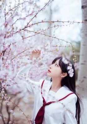 一拳超人第一季